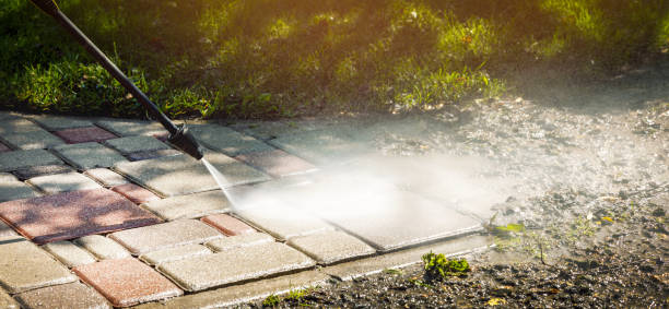 Best Sidewalk and Walkway Cleaning  in South Haven, IN